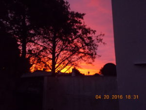 Beautiful Tolosa sunset.
